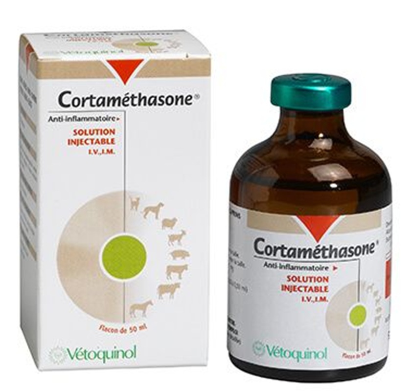 Vetoquinol Cortamethasone INJ (50 ml) | Vet Pharmacy